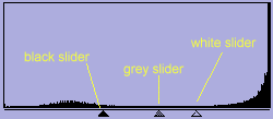 Levels histogram